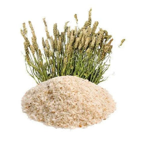 Poudre de psyllium – نخالة القاطونة قصر التوابل